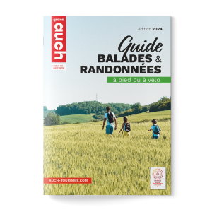 mockup guide rand